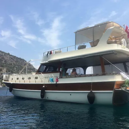 Yacht Traffic * موجلا