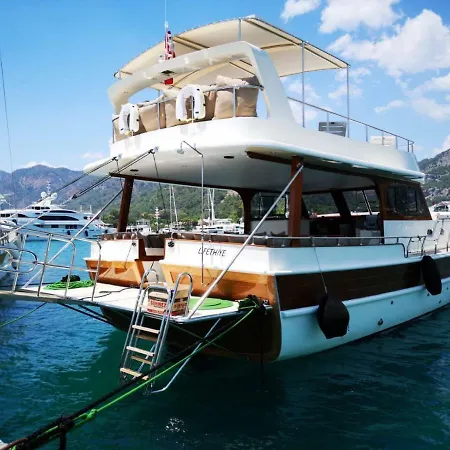 Yacht Traffic * موجلا